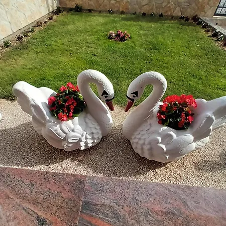 A&s